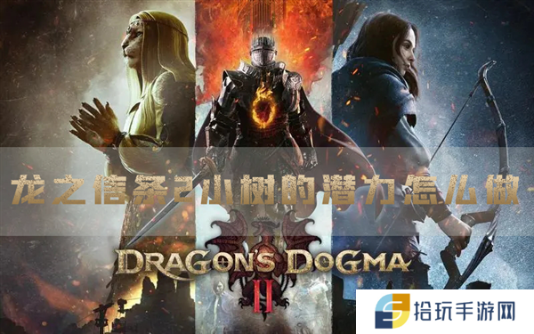龙之信条2小树的潜力怎么做 支线任务攻略