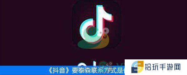 抖音要泰森联系方式是什么梗_谁有泰森的联系方式是什么意思