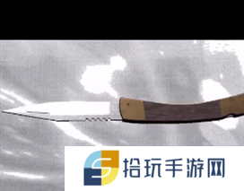 《王爱国》五级线索一把刀位置分享