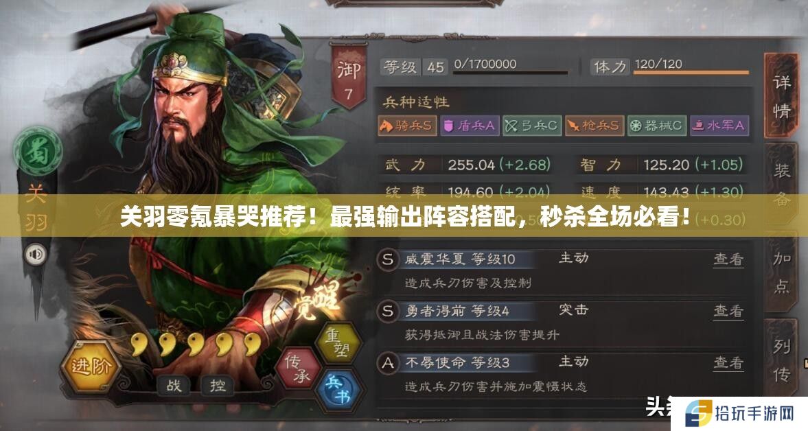关羽零氪暴哭推荐！最强输出阵容搭配，秒杀全场必看！