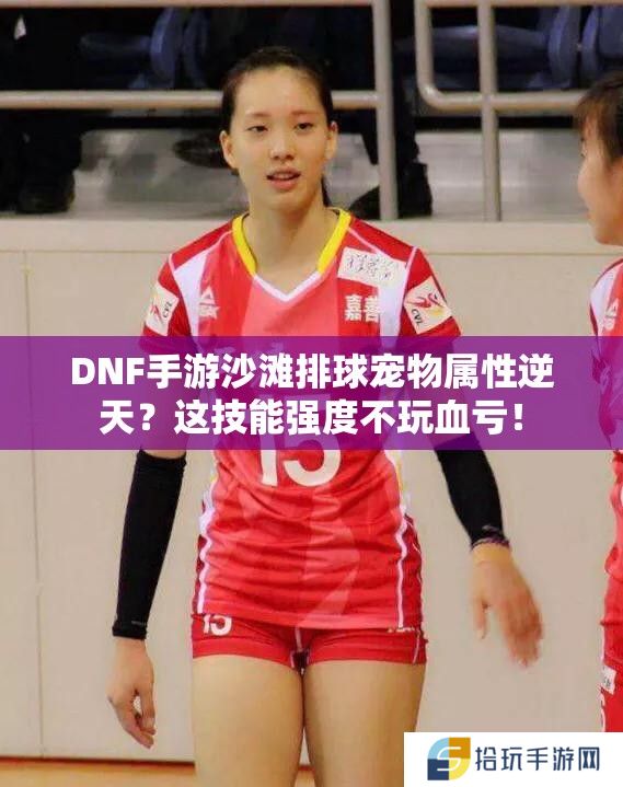 DNF手游沙滩排球宠物属性逆天？这技能强度不玩血亏！