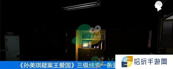 孙美琪疑案王爱国三级线索一条竖线位置在哪_三级线索一条竖线位置一览