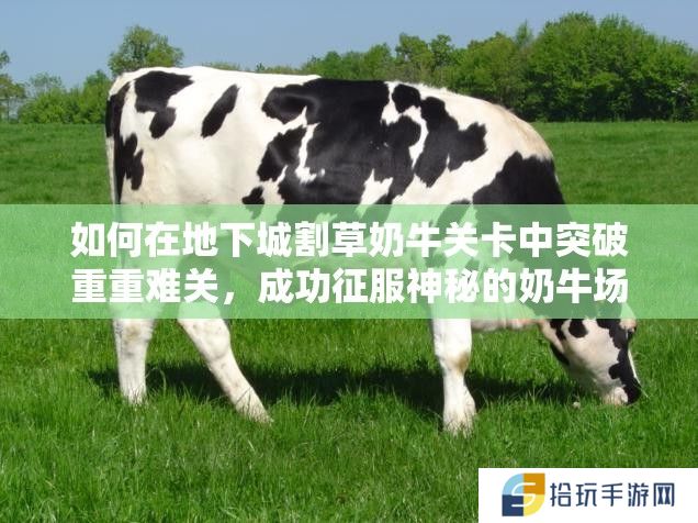 如何在地下城割草奶牛关卡中突破重重难关，成功征服神秘的奶牛场？