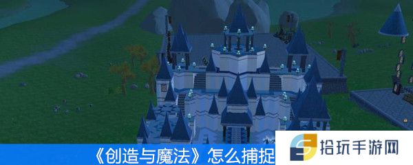 创造与魔法怎么捕捉宠物