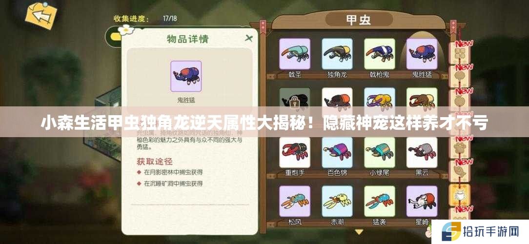 小森生活甲虫独角龙逆天属性大揭秘！隐藏神宠这样养才不亏