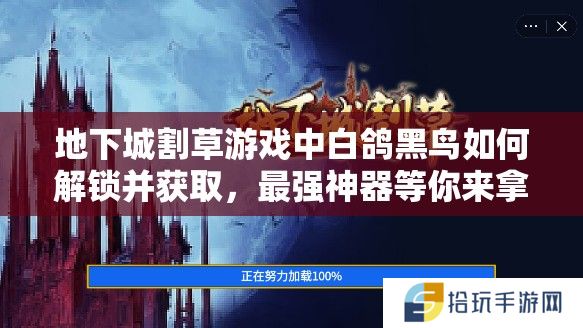 地下城割草游戏中白鸽黑鸟如何解锁并获取，最强神器等你来拿？