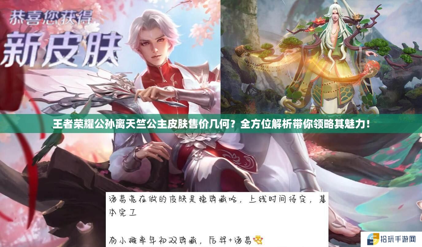 王者荣耀公孙离天竺公主皮肤售价几何？全方位解析带你领略其魅力！