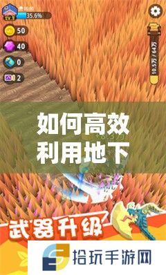 如何高效利用地下城割草游戏中的宠物大黄蜂？技巧详解！
