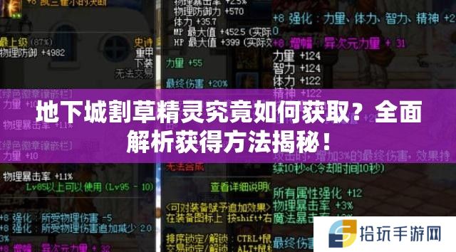 地下城割草精灵究竟如何获取？全面解析获得方法揭秘！